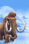 Mammut